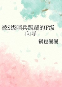 被S级哨兵觊觎的F级向导
